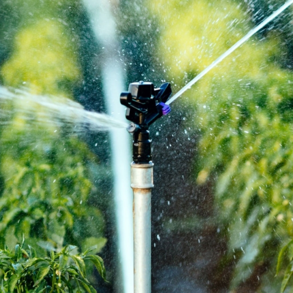 irrigation-system-in-function-(Large)